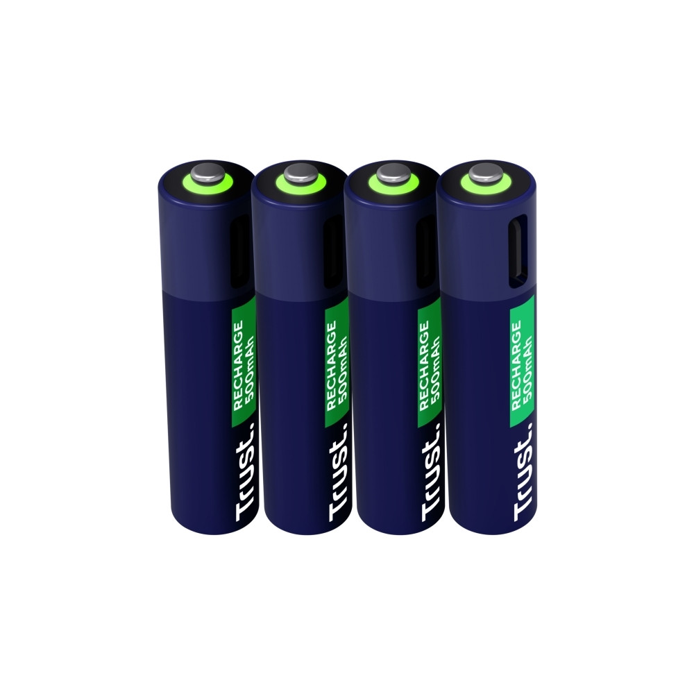 Produktbild för Trust batteri - USB-C - med batteri - 4 x AAA