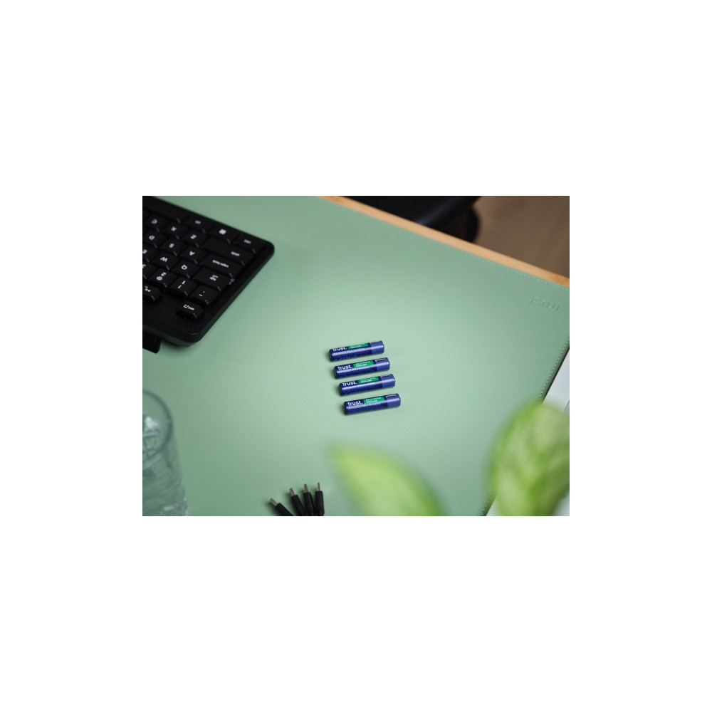 Produktbild för Trust batteri - USB-C - med batteri - 4 x AAA