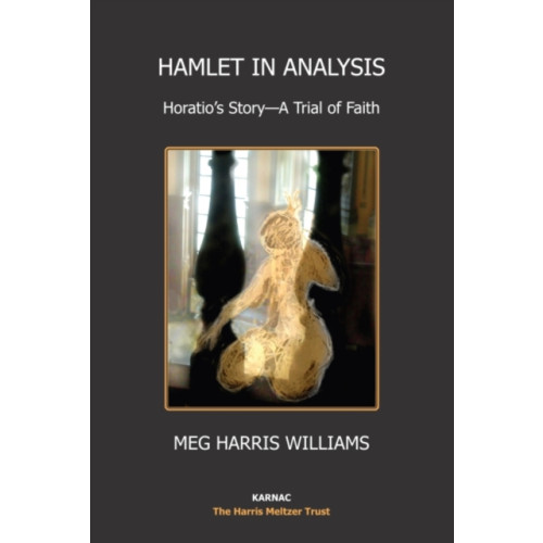 Karnac Books Hamlet in Analysis (häftad, eng)