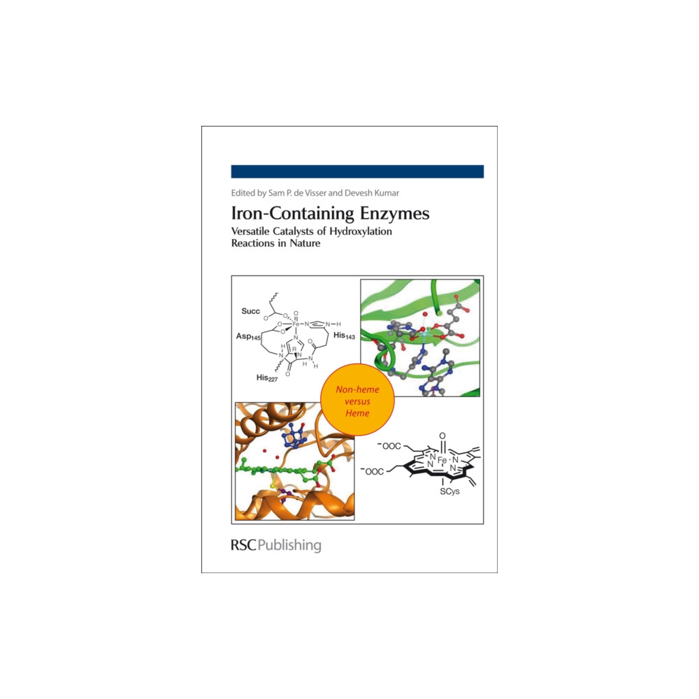 Produktbild för Iron-Containing Enzymes (inbunden, eng)