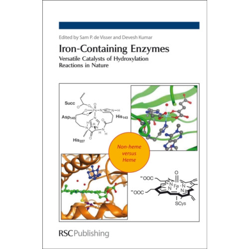Royal Society of Chemistry Iron-Containing Enzymes (inbunden, eng)