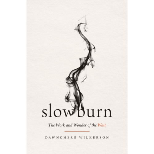 Thomas nelson publishers Slow Burn (häftad, eng)