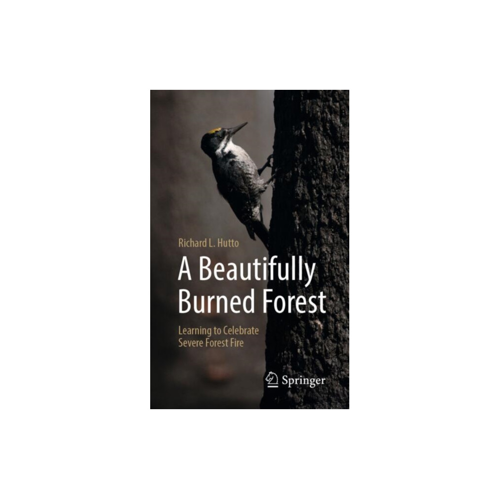 Produktbild för A Beautifully Burned Forest (häftad, eng)