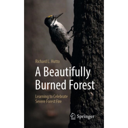 Springer Nature Switzerland AG A Beautifully Burned Forest (häftad, eng)