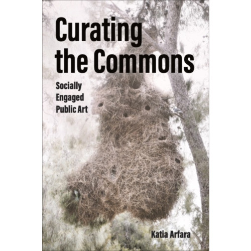 The University of Michigan Press Curating the Commons (häftad, eng)