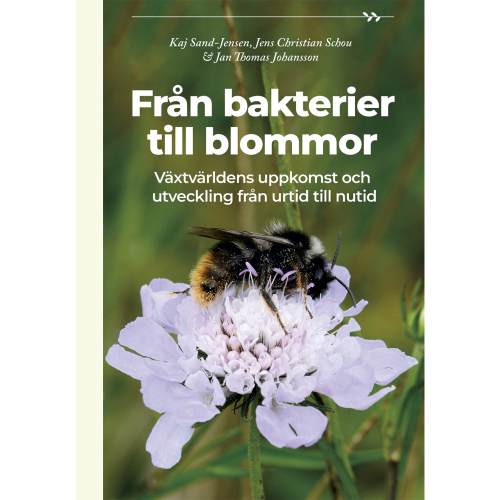 Produktbild för Från bakterier till blommor (inbunden)