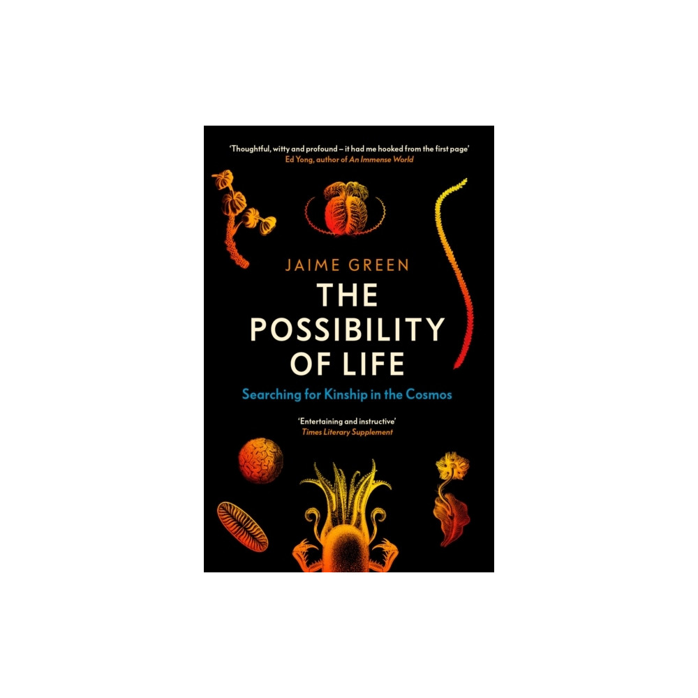 Produktbild för The Possibility of Life (pocket, eng)