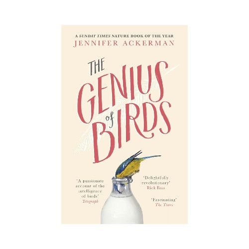 Jennifer Ackerman Genius of birds (häftad, eng)
