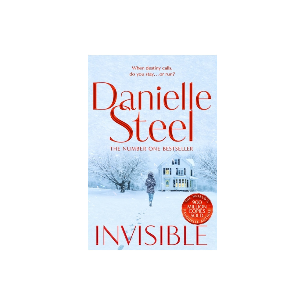 Produktbild för Invisible (pocket, eng)