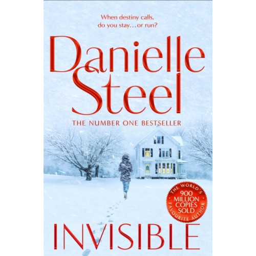 Danielle Steel Invisible (pocket, eng)