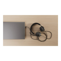 Produktbild för Logitech Zone Wired 2 for Business