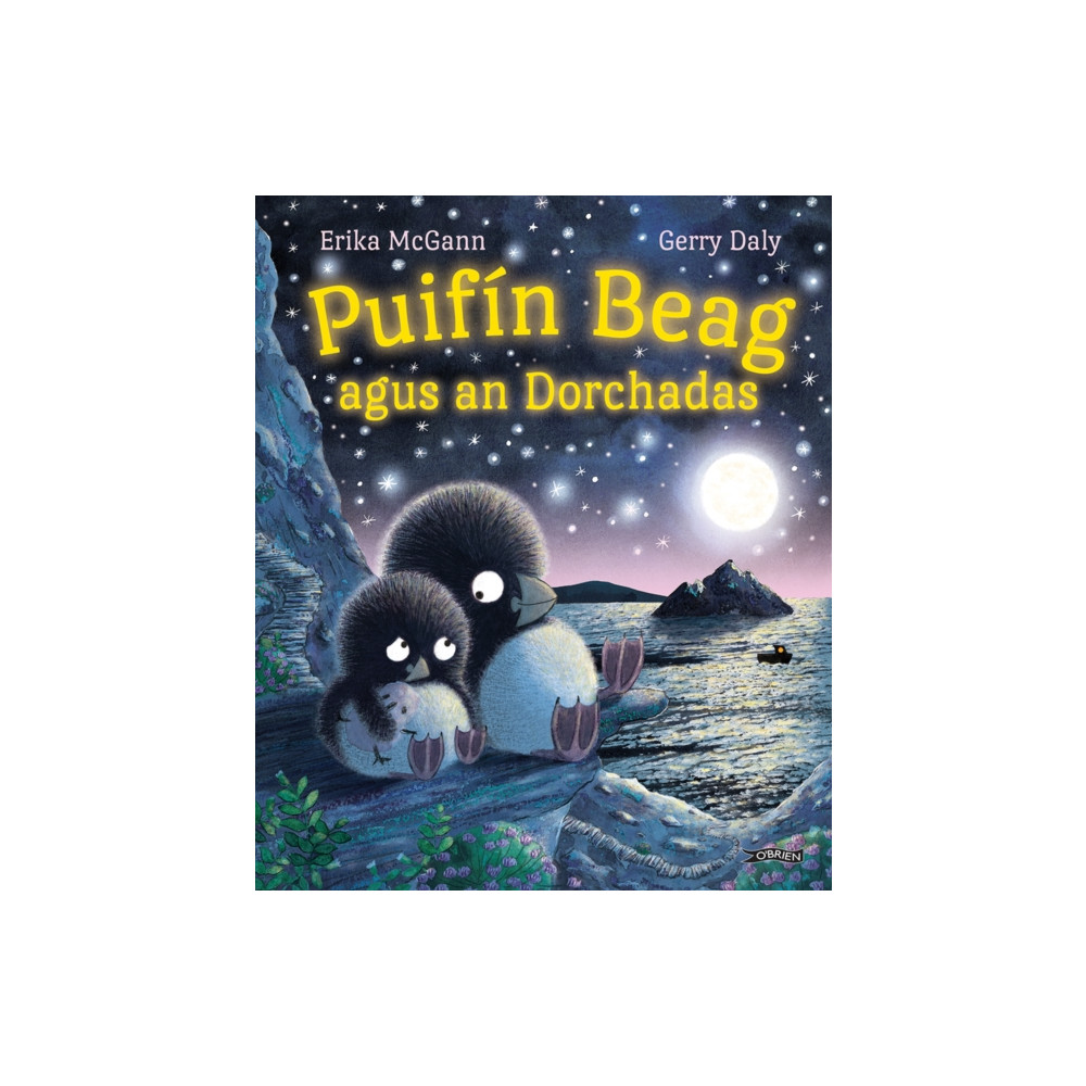 Produktbild för Puifin Beag agus an Dorchadas (häftad, gle)