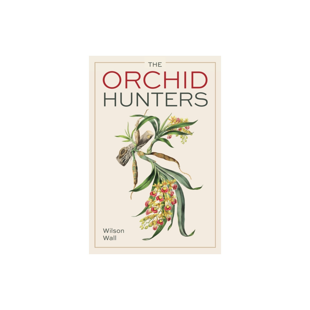 Produktbild för Orchid Hunters (häftad, eng)