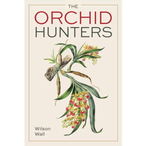 The Crowood Press Ltd Orchid Hunters (häftad, eng)