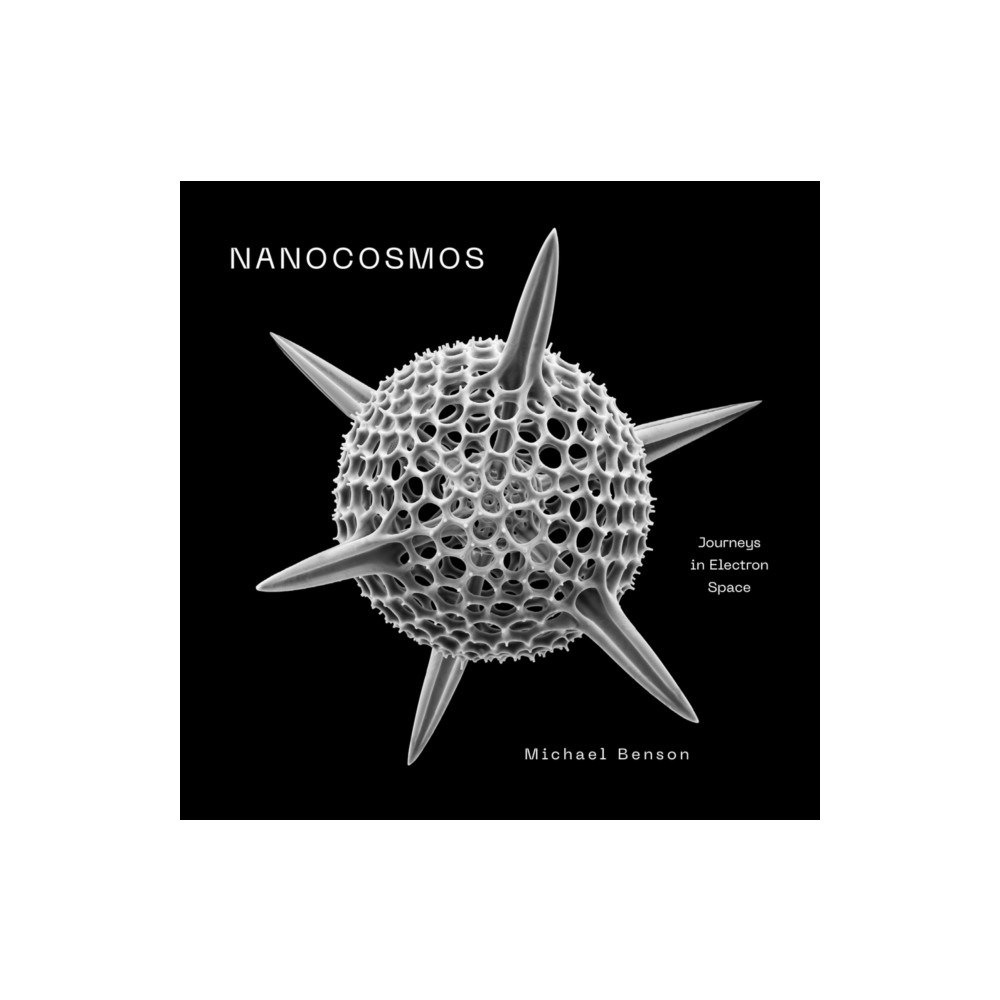 Produktbild för Nanocosmos (inbunden, eng)