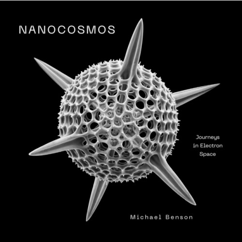 Abrams Nanocosmos (inbunden, eng)