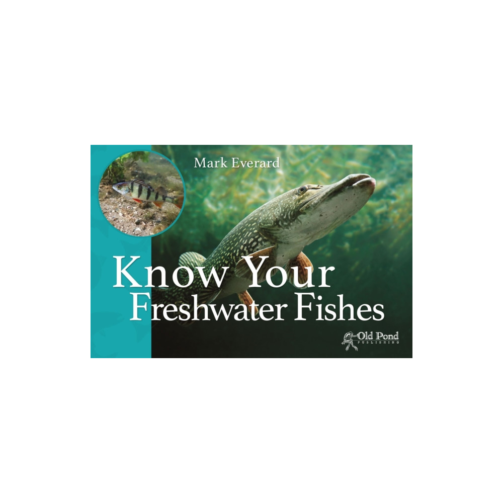 Produktbild för Know Your Freshwater Fishes (häftad, eng)