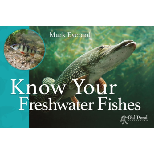 Fox Chapel Publishers International Know Your Freshwater Fishes (häftad, eng)