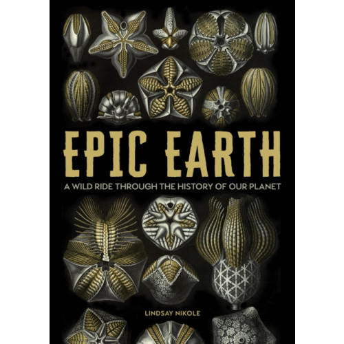 Quarto Publishing Group USA Inc Epic Earth (häftad, eng)