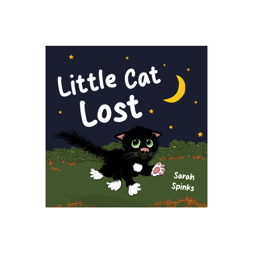 Produktbild för Little Cat Lost (häftad, eng)