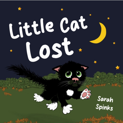 Cranthorpe Millner Publishers Little Cat Lost (häftad, eng)