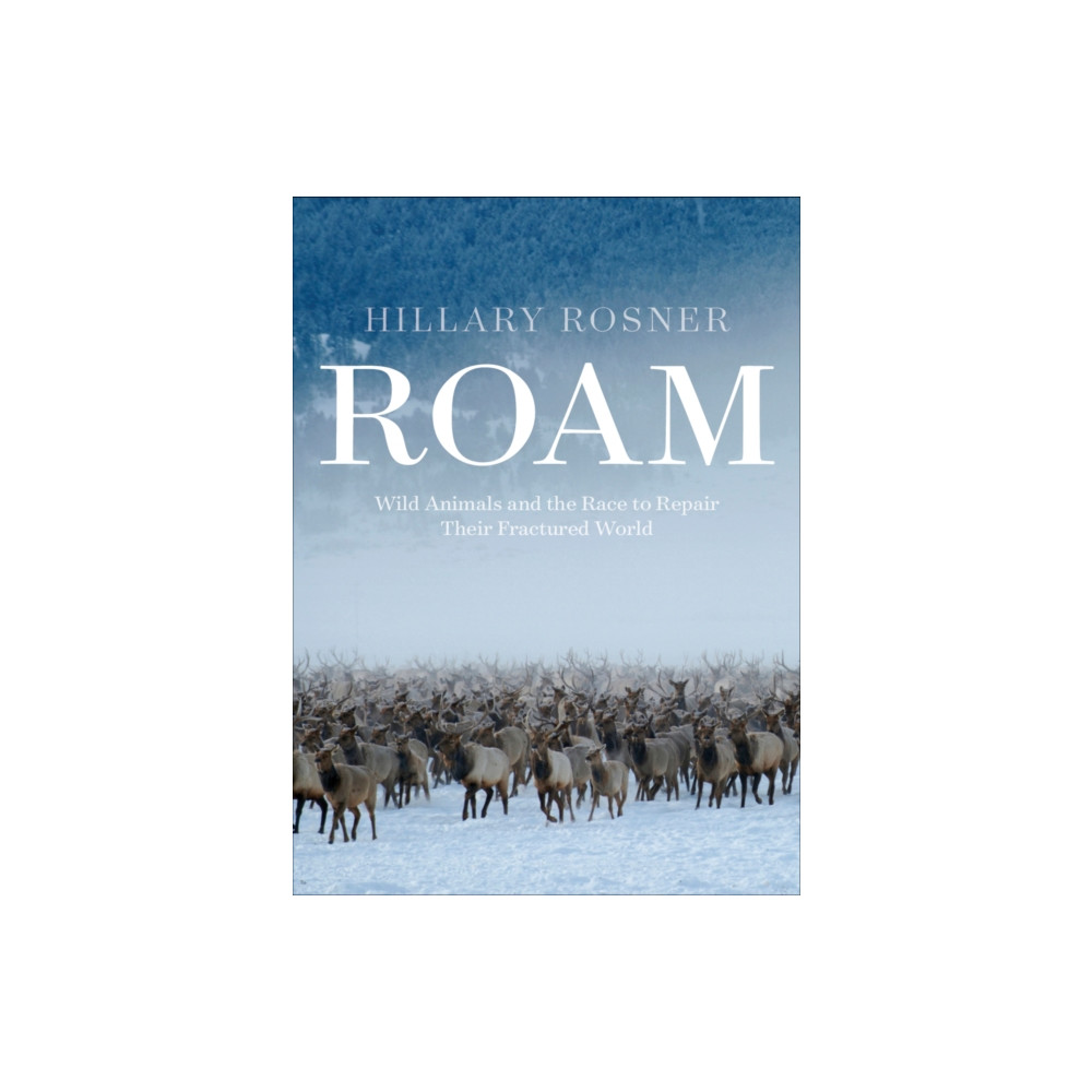 Produktbild för Roam (inbunden, eng)