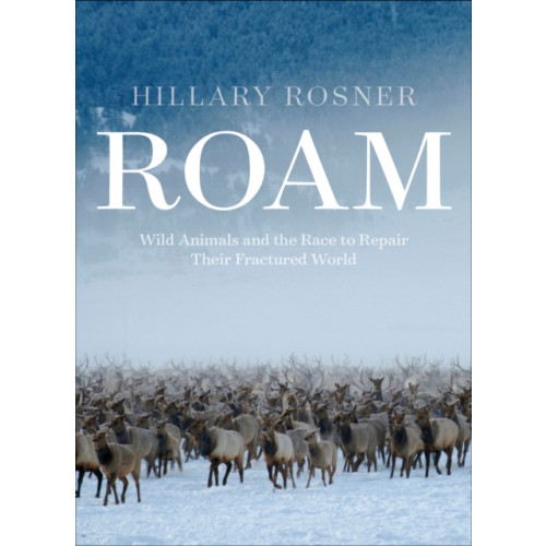 Patagonia Books Roam (inbunden, eng)