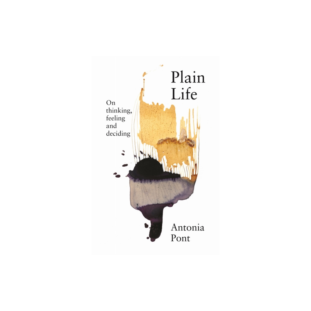 Produktbild för Plain Life (häftad, eng)
