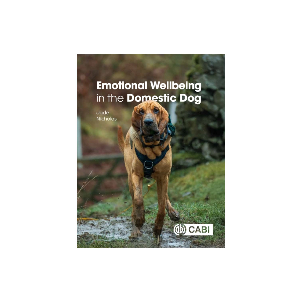 Produktbild för Emotional Wellbeing in the Domestic Dog (häftad, eng)