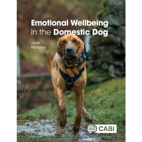 CABI Publishing Emotional Wellbeing in the Domestic Dog (häftad, eng)
