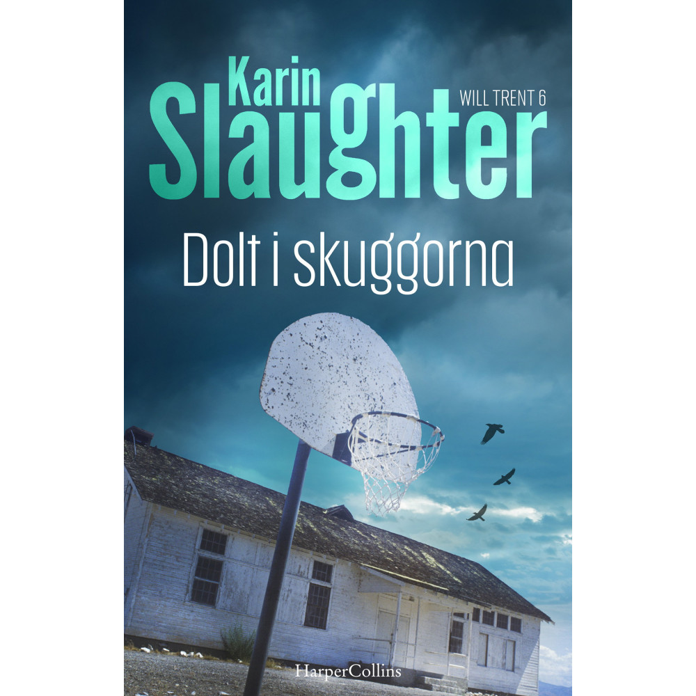Produktbild för Dolt i skuggorna (pocket)