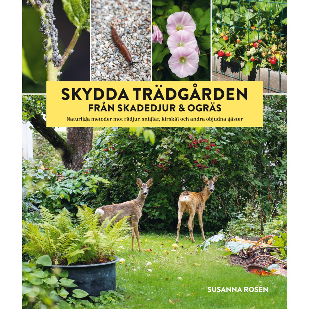 Produktbild för Skydda trädgården från skadedjur & ogräs : naturliga metoder mot rådjur, sniglar, kirskål och andra objudna gäster (inbunden)