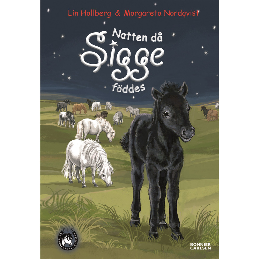Produktbild för Natten då Sigge föddes (inbunden)