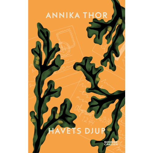 Annika Thor Havets djup (bok, danskt band)