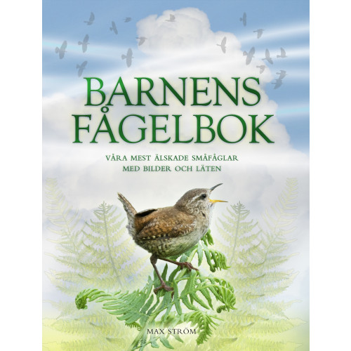 Andrea Pinnington Barnens fågelbok : våra mest älskade småfåglar med bilder och läten (bok, board book)