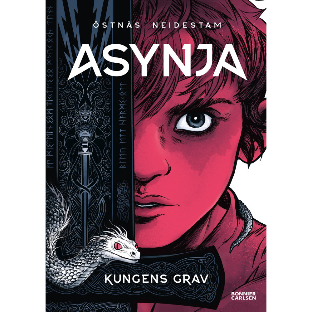 Produktbild för Kungens grav (bok, kartonnage)