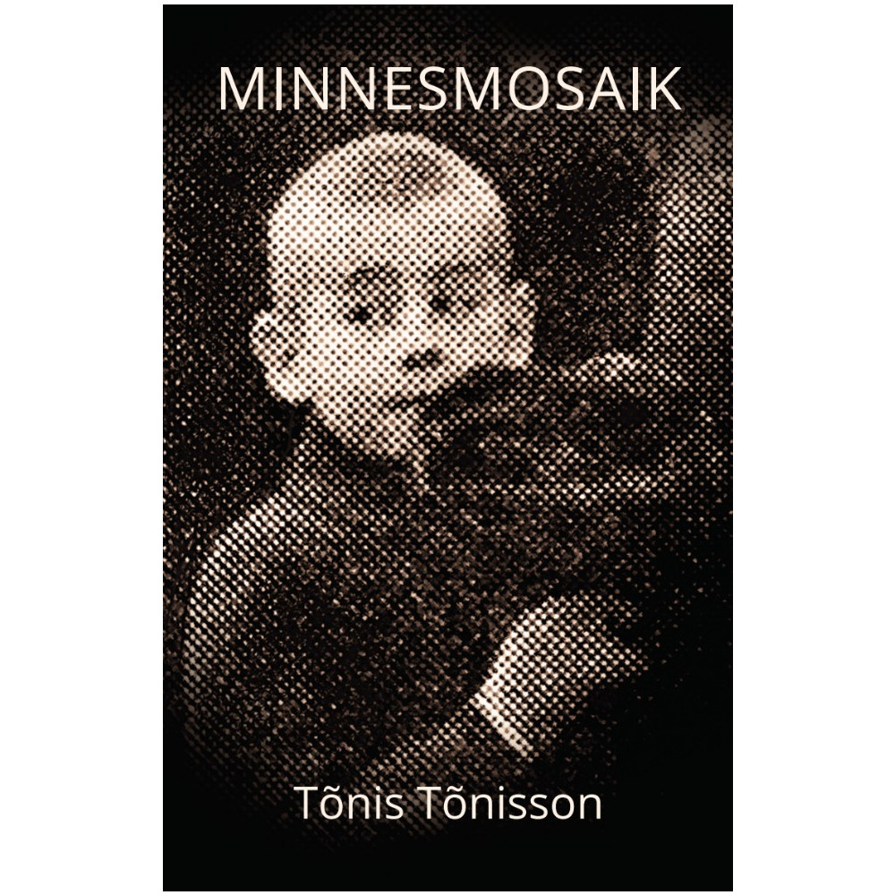 Produktbild för Minnesmosaik : skärvor av krig, flykt och liv (bok, storpocket)