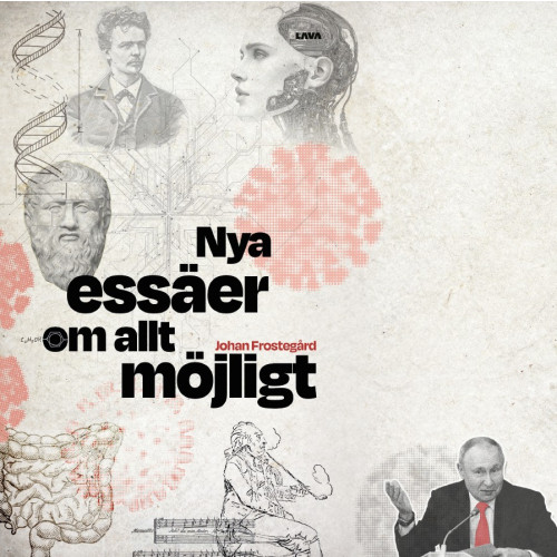 Johan Frostegård Nya essäer om allt möjligt (bok, danskt band)