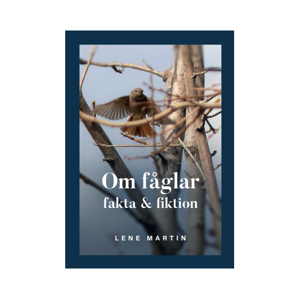 Produktbild för Om fåglar, fakta & fiktion (bok, storpocket)