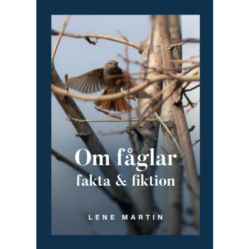 Lene Martin Om fåglar, fakta & fiktion (bok, storpocket)