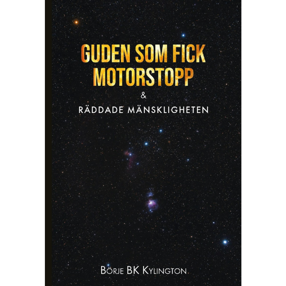 Produktbild för Guden som fick motorstopp & Räddade mänskligheten (häftad)