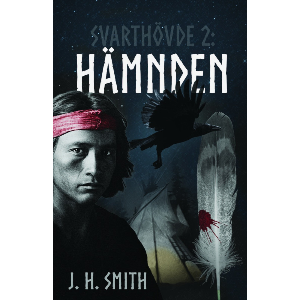 Produktbild för Hämnden (häftad)