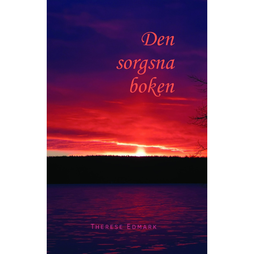 Produktbild för Den sorgsna boken (häftad)