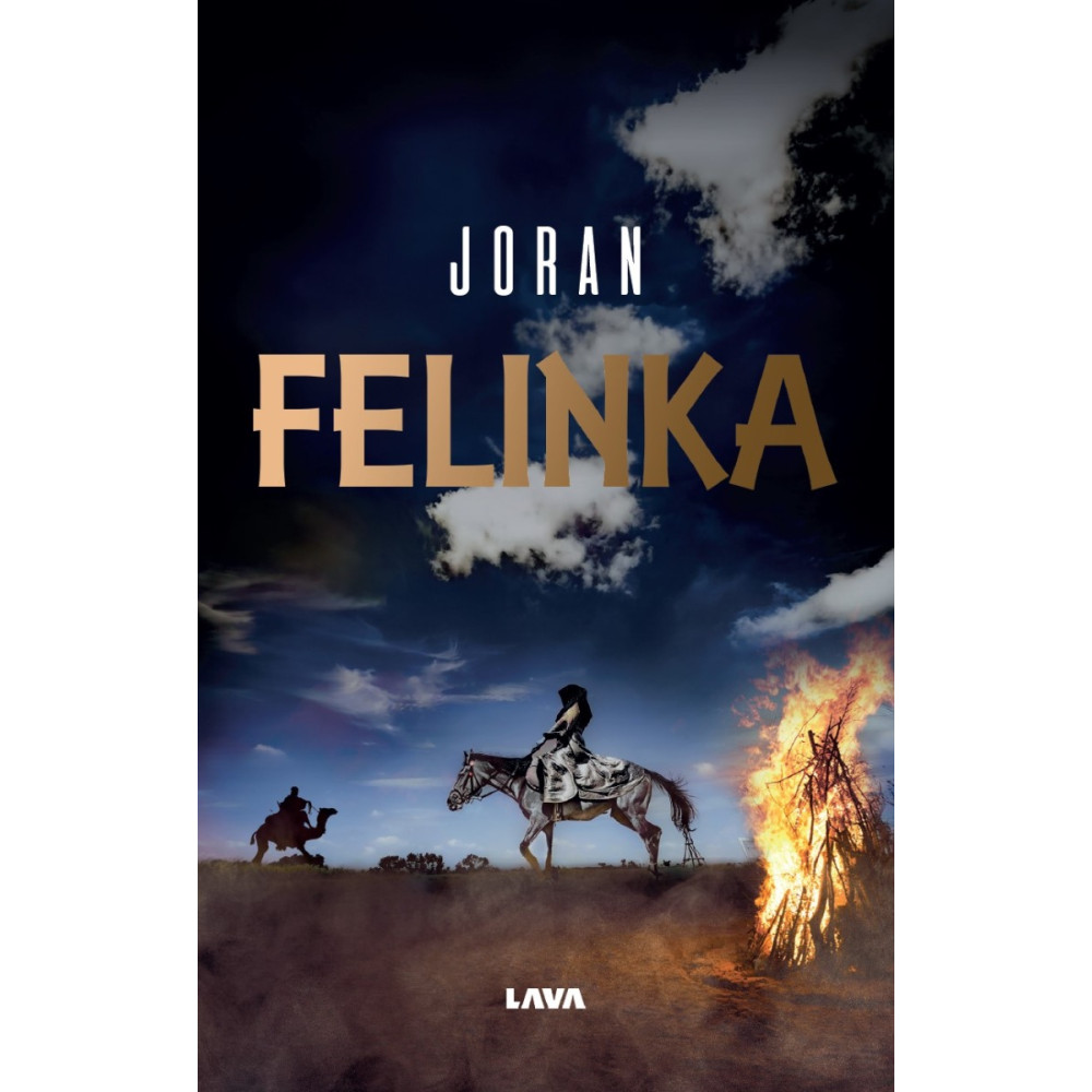 Produktbild för Felinka (bok, storpocket)