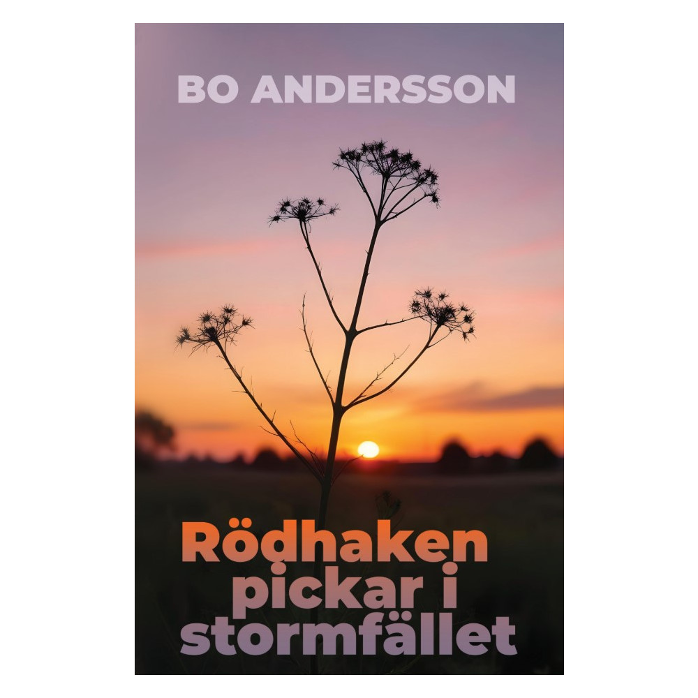 Produktbild för Rödhaken pickar i stormfället (bok, storpocket)