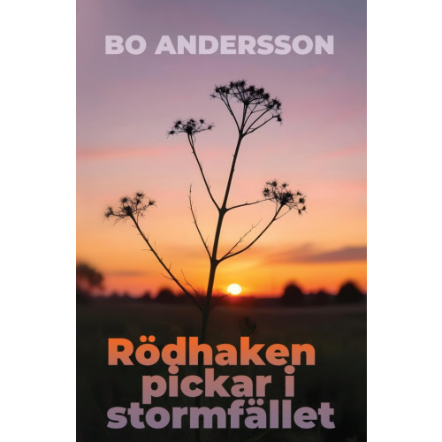 Bo Andersson Rödhaken pickar i stormfället (bok, storpocket)