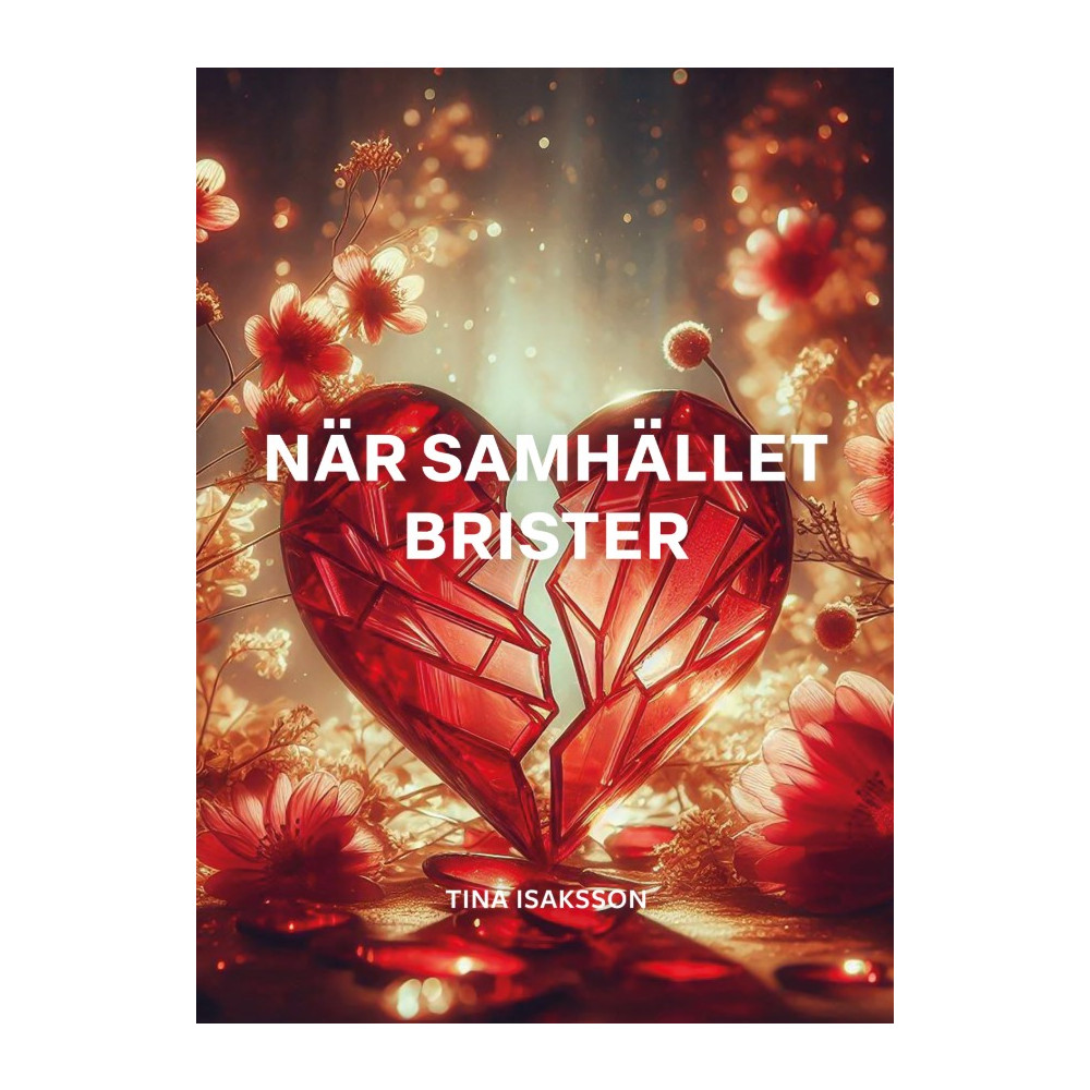 Produktbild för När samhället brister (bok, storpocket)