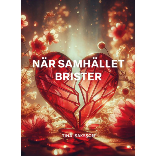 Tina Isaksson När samhället brister (bok, storpocket)