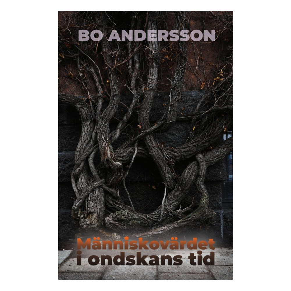 Produktbild för Människovärdet i ondskans tid (bok, storpocket)