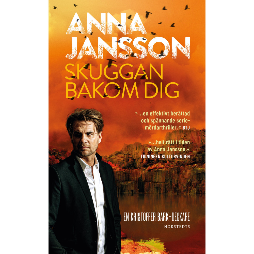 Produktbild för Skuggan bakom dig (pocket)
